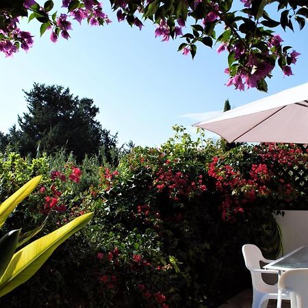 Townhouse In Paradise Gardens Paphos ภายนอก รูปภาพ